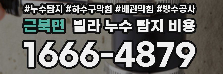 근북면 빌라 누수 탐지 비용