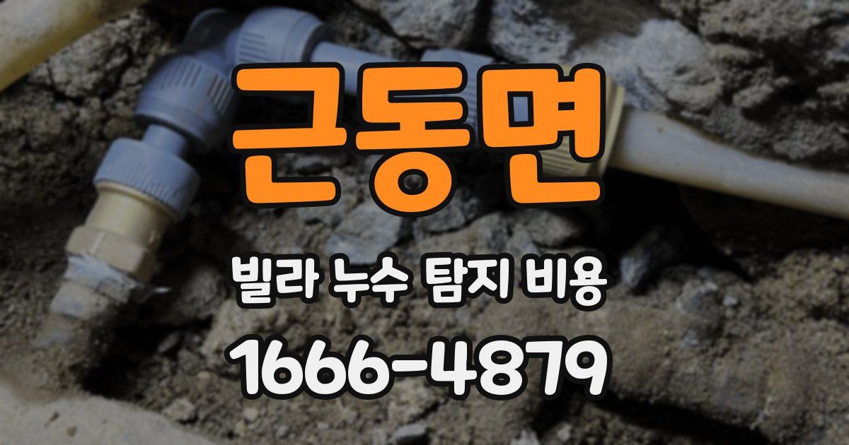 근동면 빌라 누수 탐지 비용