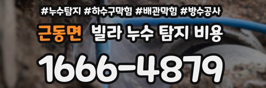 근동면 빌라 누수 탐지 비용