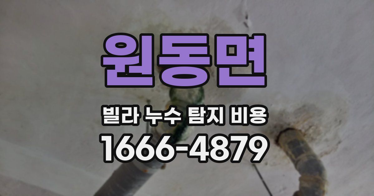 원동면 빌라 누수 탐지 비용
