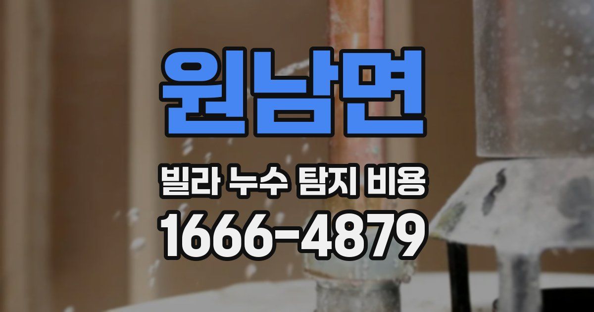 원남면 빌라 누수 탐지 비용