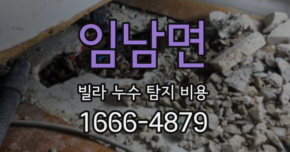 임남면 빌라 누수 탐지 비용