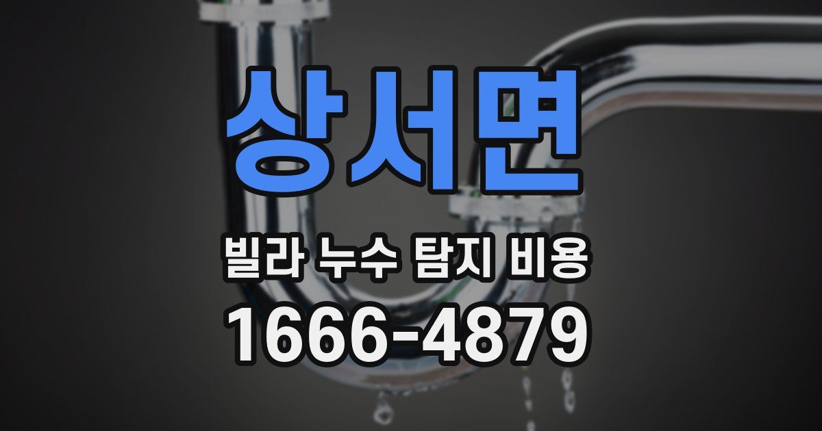 상서면 빌라 누수 탐지 비용