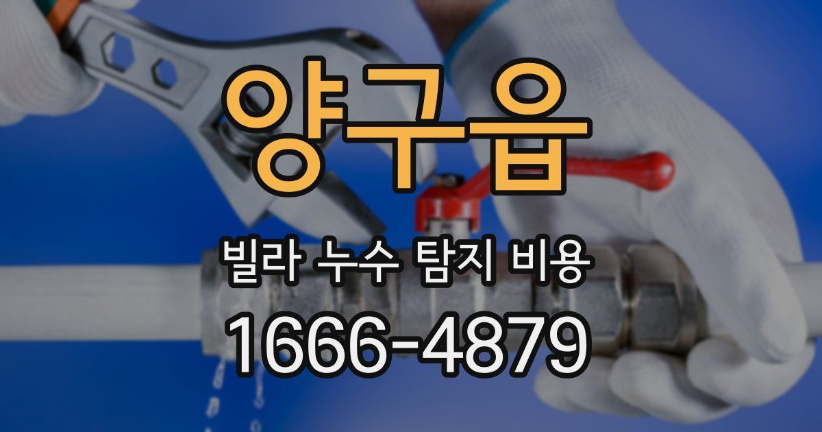 양구읍 빌라 누수 탐지 비용