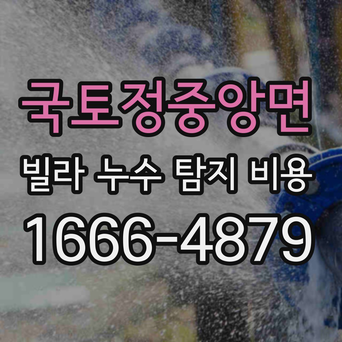 국토정중앙면 빌라 누수 탐지 비용