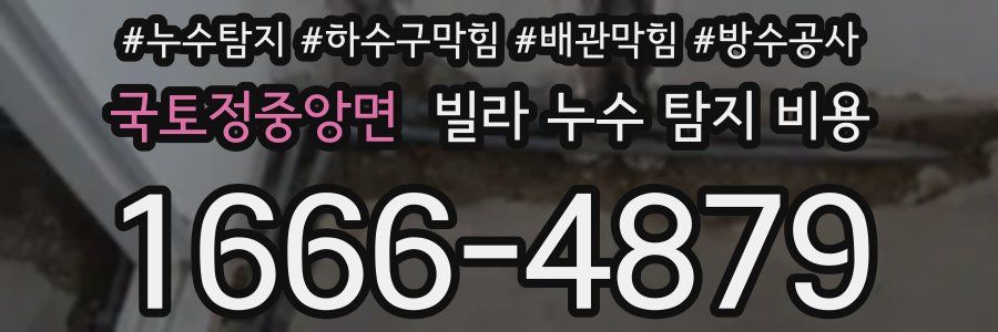 국토정중앙면 빌라 누수 탐지 비용