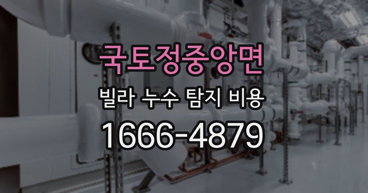 국토정중앙면 빌라 누수 탐지 비용