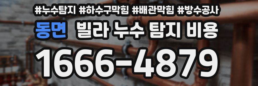 동면 빌라 누수 탐지 비용