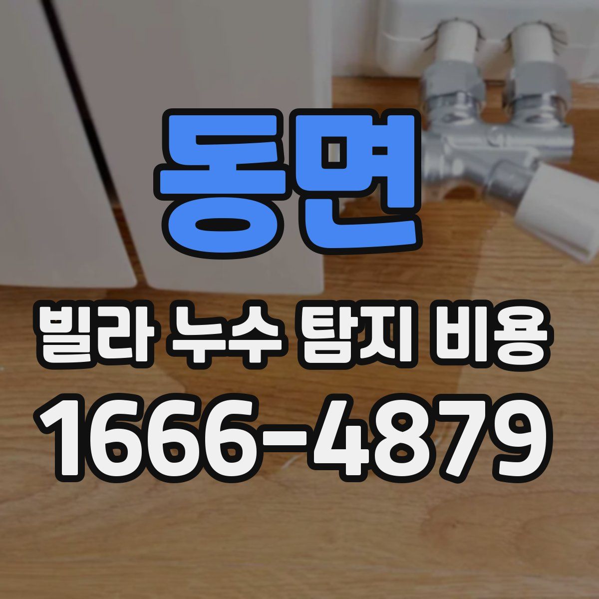 동면 빌라 누수 탐지 비용