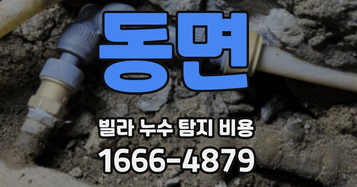 동면 빌라 누수 탐지 비용