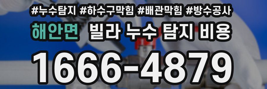 해안면 빌라 누수 탐지 비용