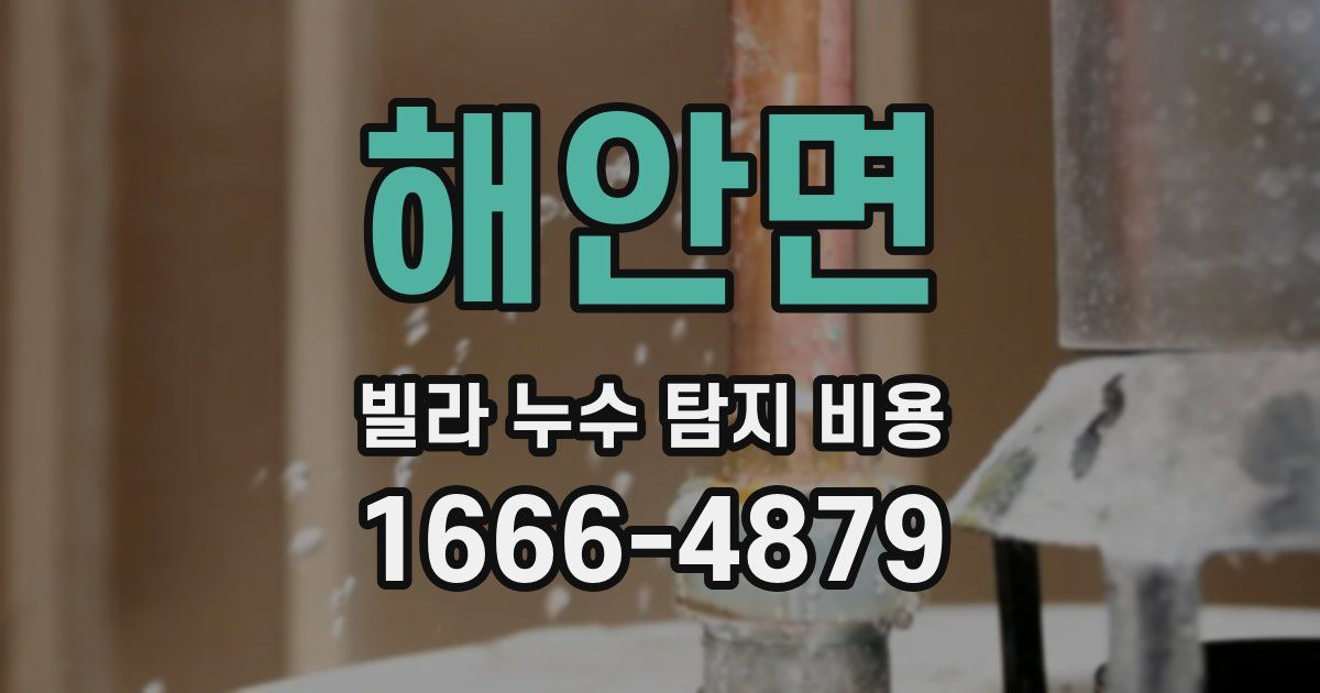 해안면 빌라 누수 탐지 비용