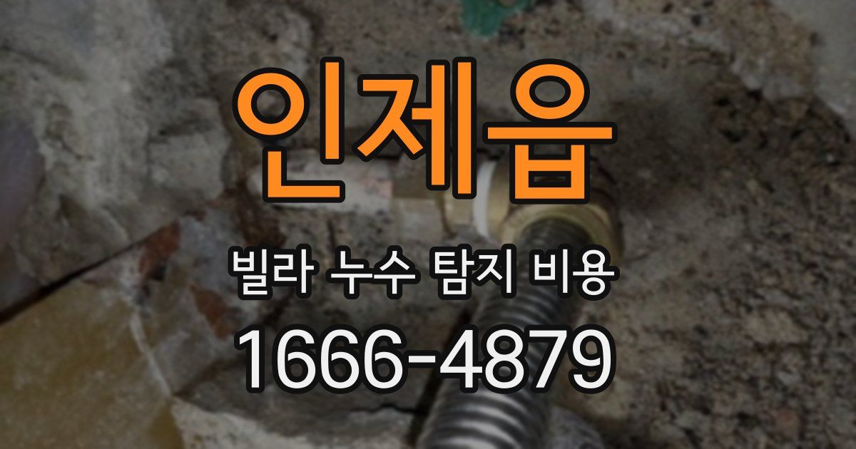 인제읍 빌라 누수 탐지 비용
