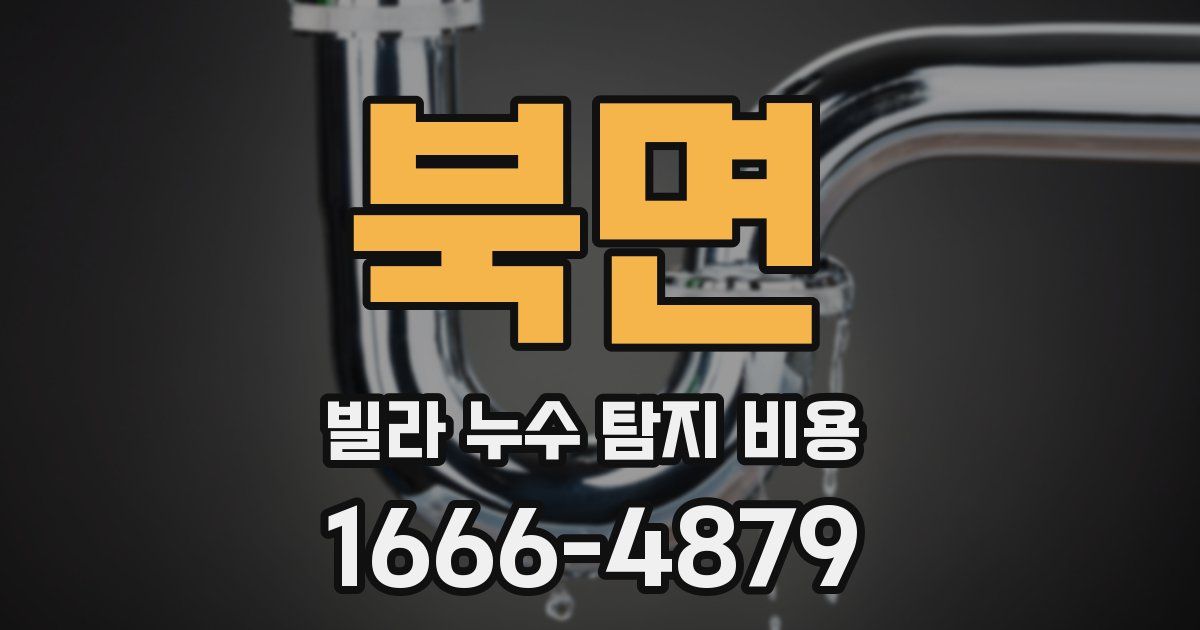 북면 빌라 누수 탐지 비용