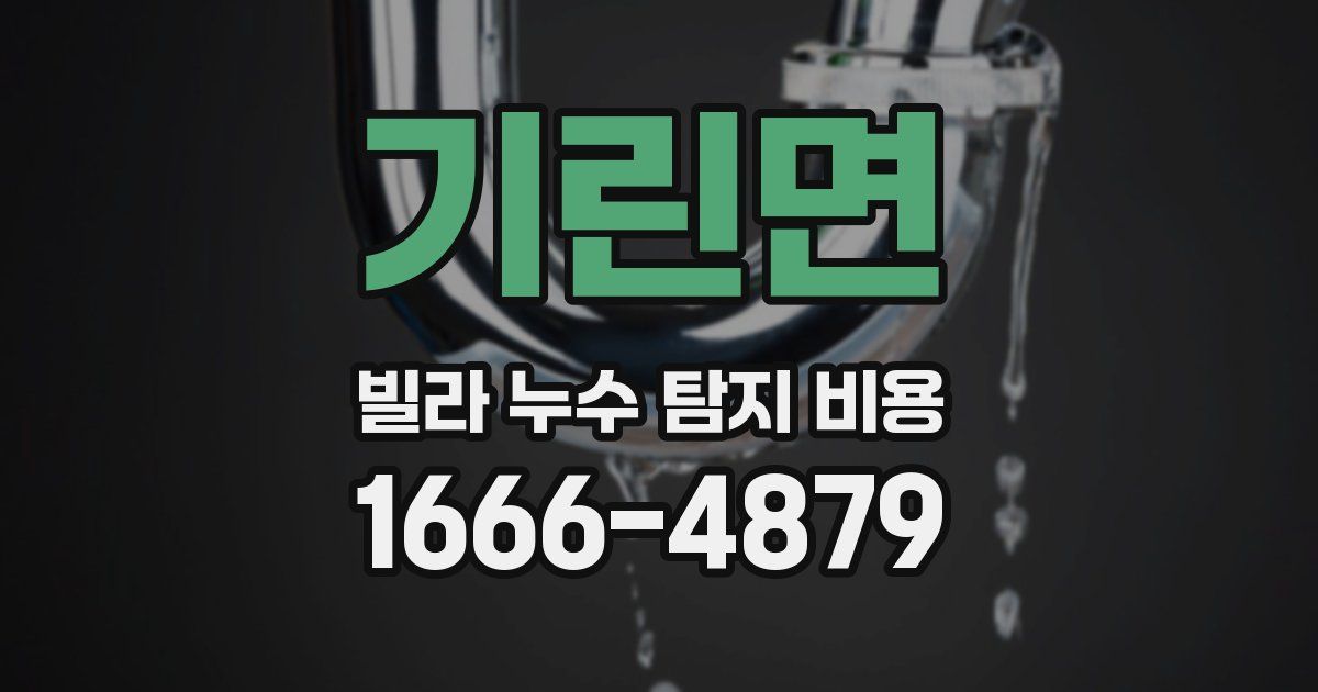 기린면 빌라 누수 탐지 비용