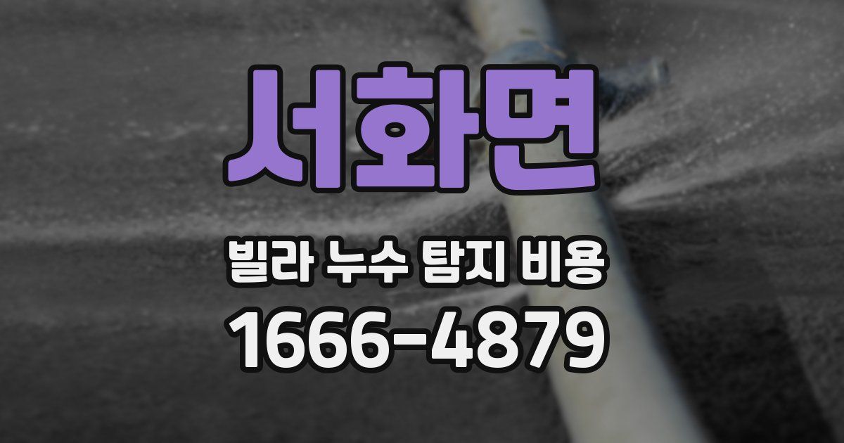 서화면 빌라 누수 탐지 비용