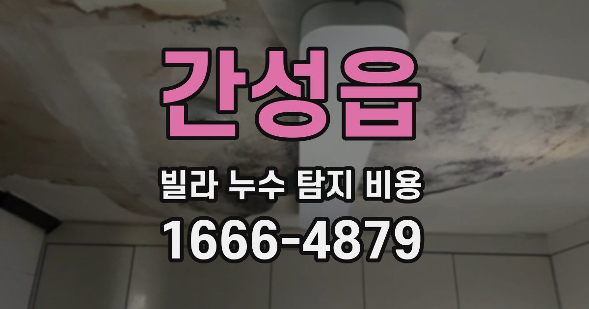 간성읍 빌라 누수 탐지 비용