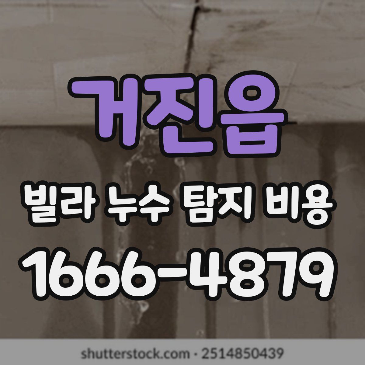거진읍 빌라 누수 탐지 비용