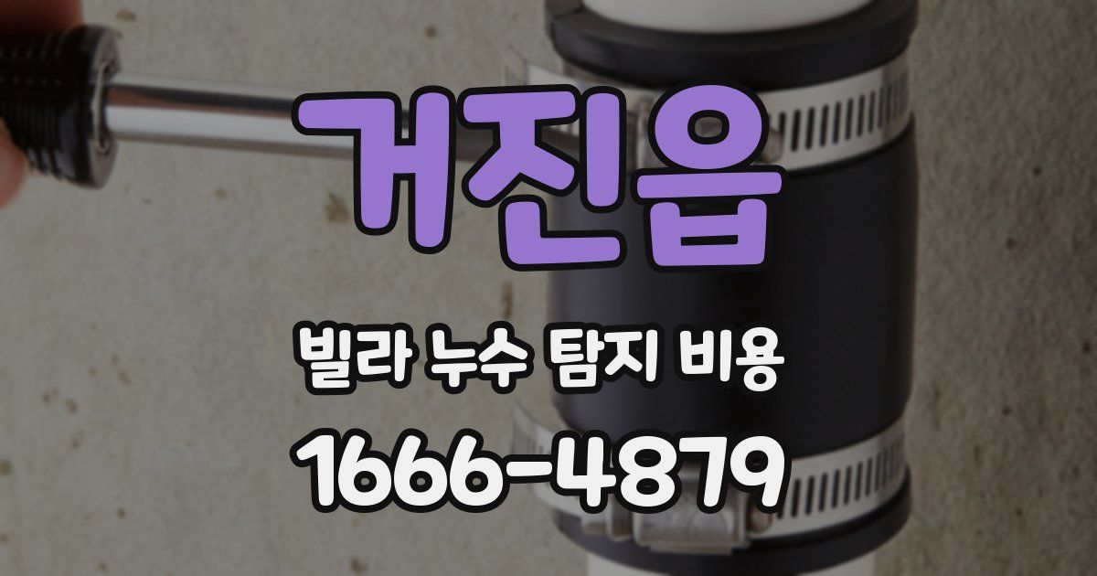거진읍 빌라 누수 탐지 비용