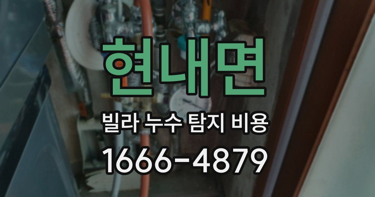 현내면 빌라 누수 탐지 비용