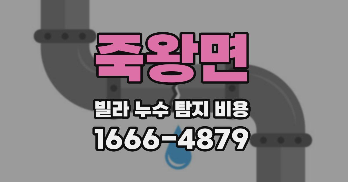 죽왕면 빌라 누수 탐지 비용
