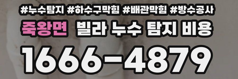 죽왕면 빌라 누수 탐지 비용