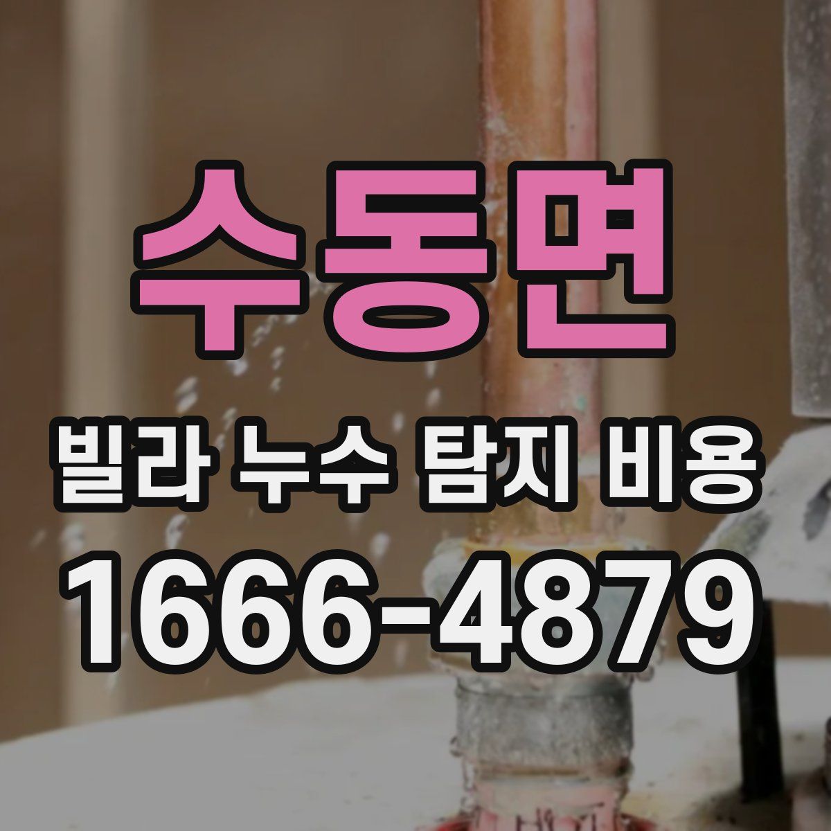 수동면 빌라 누수 탐지 비용