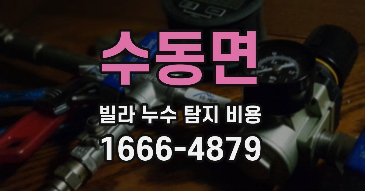 수동면 빌라 누수 탐지 비용