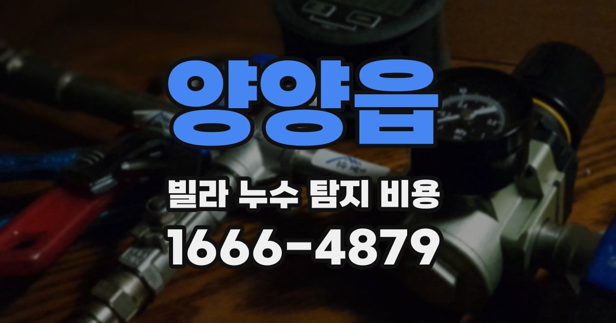 양양읍 빌라 누수 탐지 비용