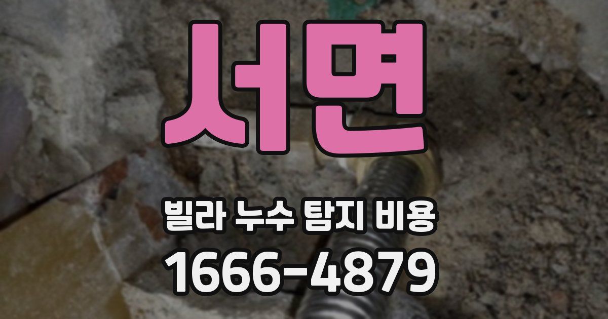 서면 빌라 누수 탐지 비용