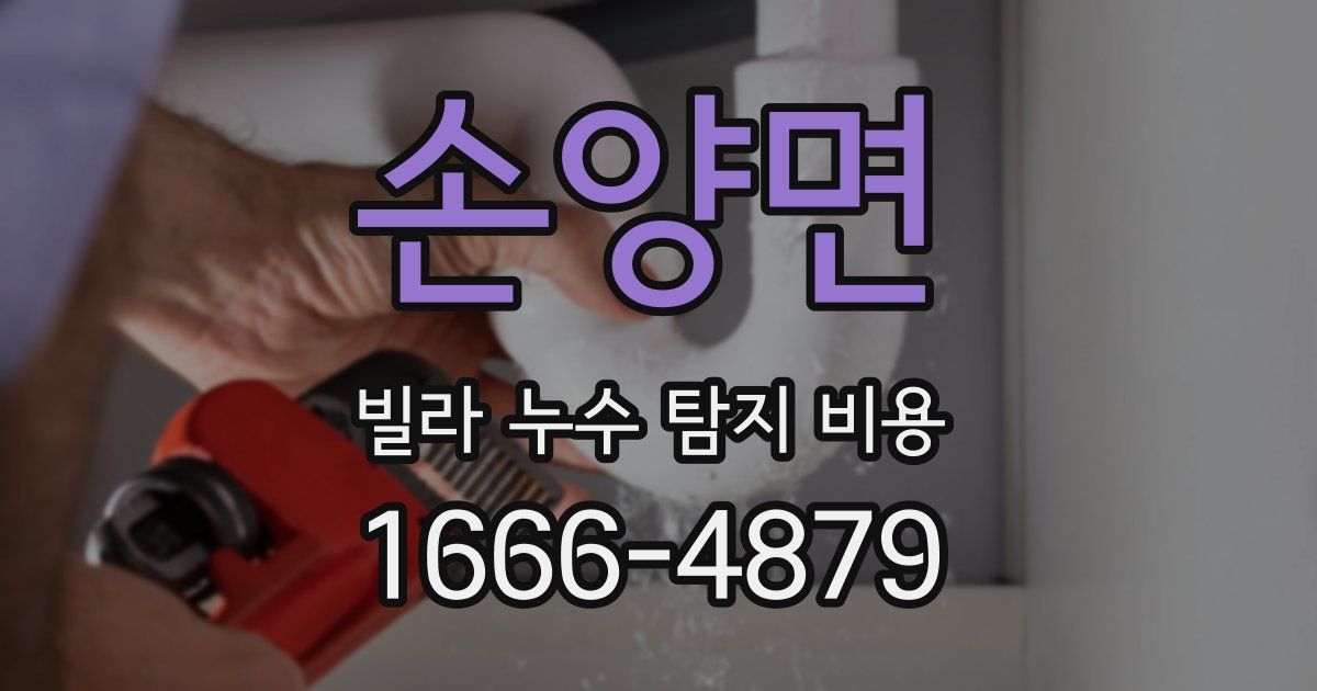 손양면 빌라 누수 탐지 비용