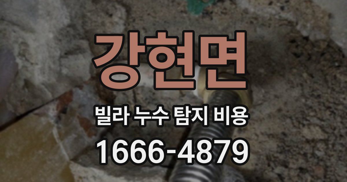 강현면 빌라 누수 탐지 비용
