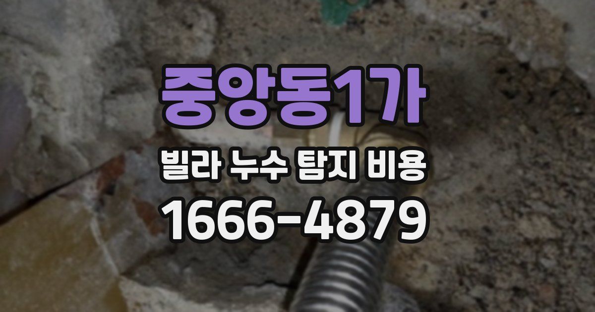 중앙동1가 빌라 누수 탐지 비용