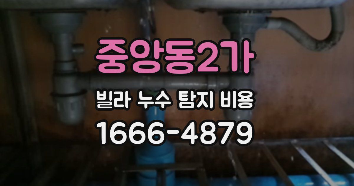 중앙동2가 빌라 누수 탐지 비용