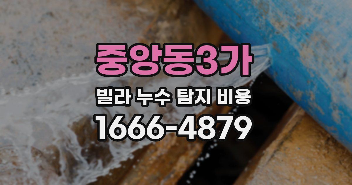 중앙동3가 빌라 누수 탐지 비용