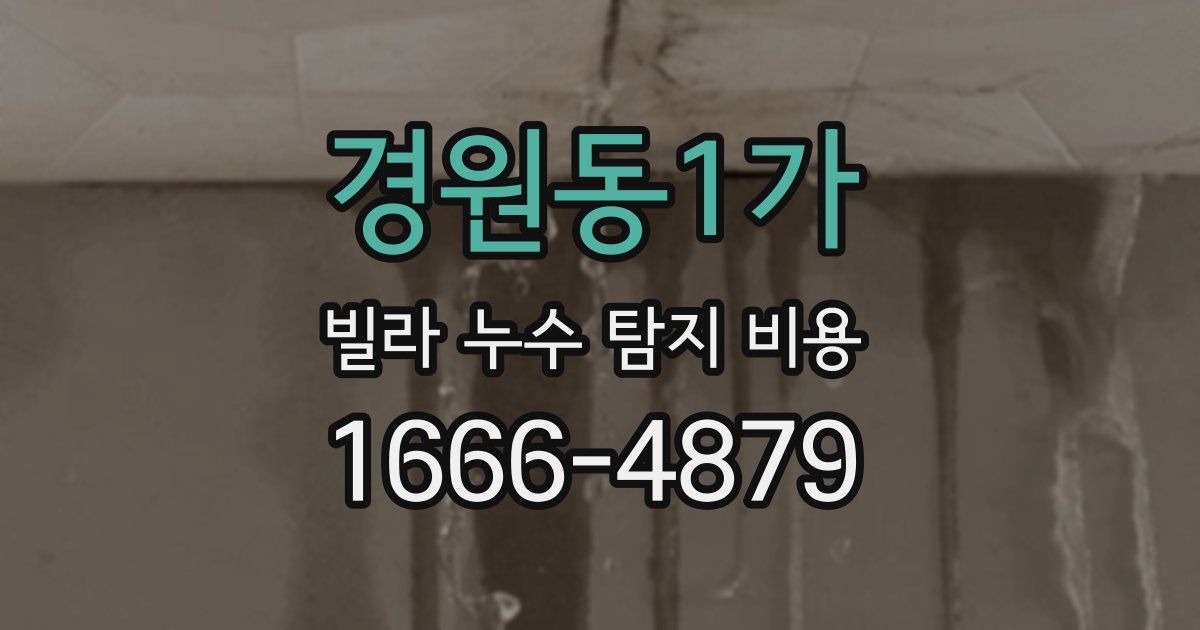 경원동1가 빌라 누수 탐지 비용