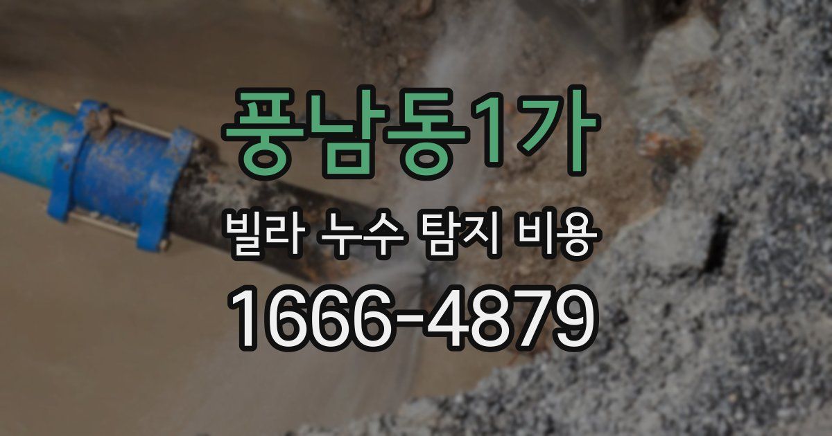 풍남동1가 빌라 누수 탐지 비용