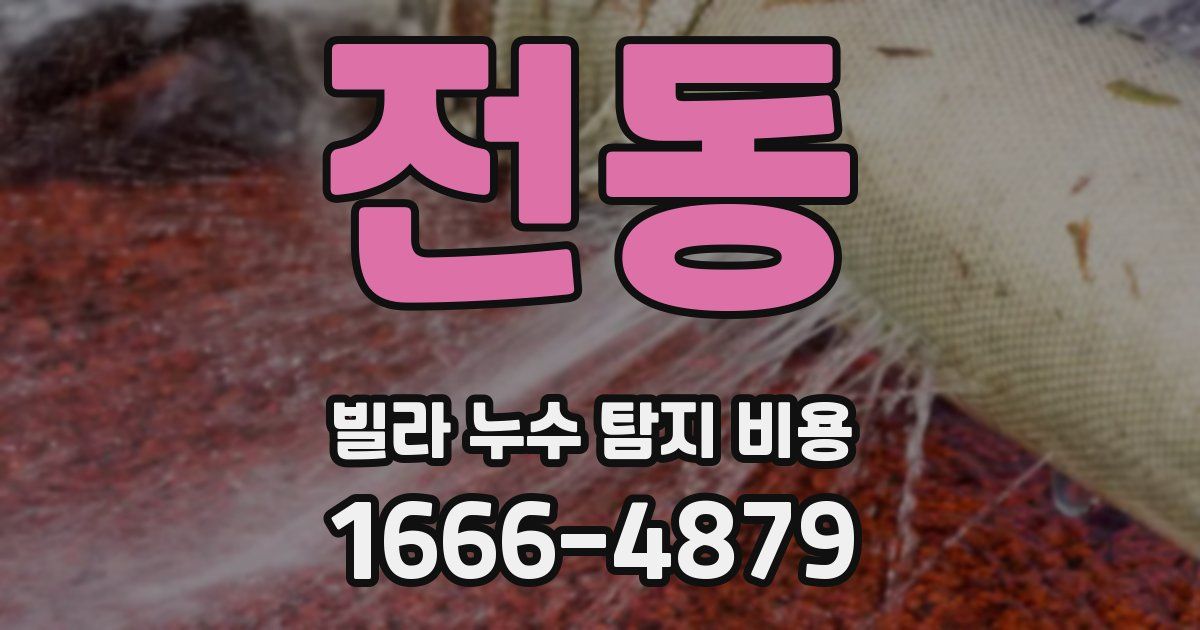 전동 빌라 누수 탐지 비용