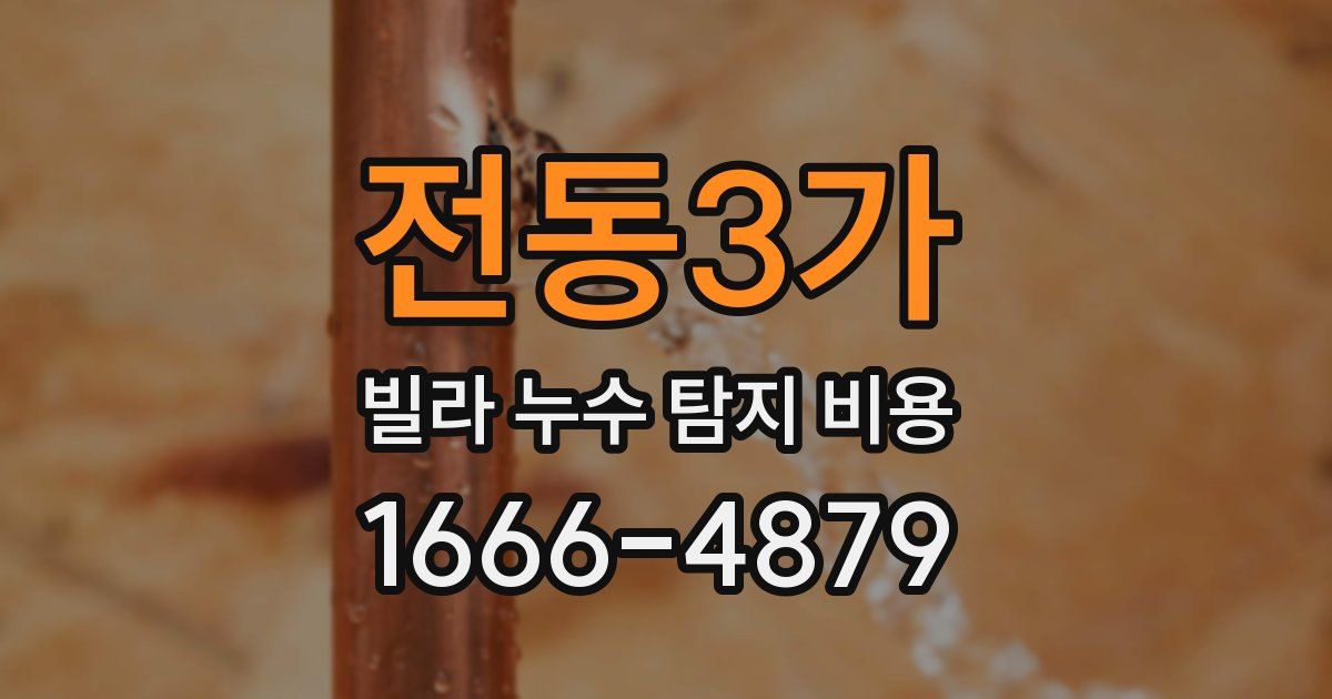 전동3가 빌라 누수 탐지 비용