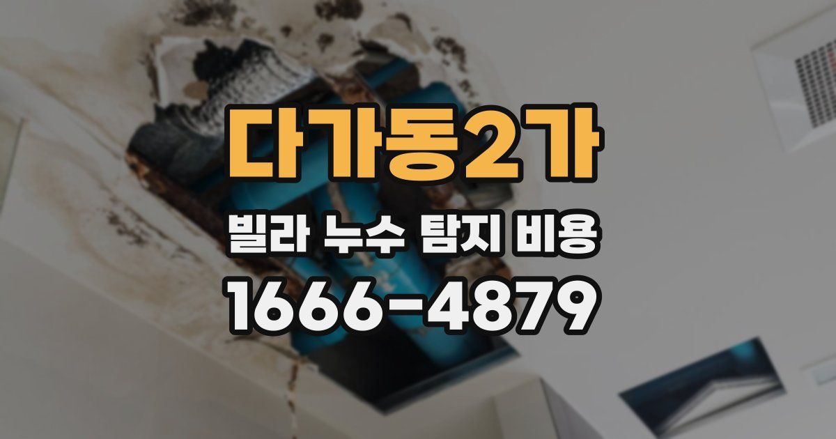 다가동2가 빌라 누수 탐지 비용