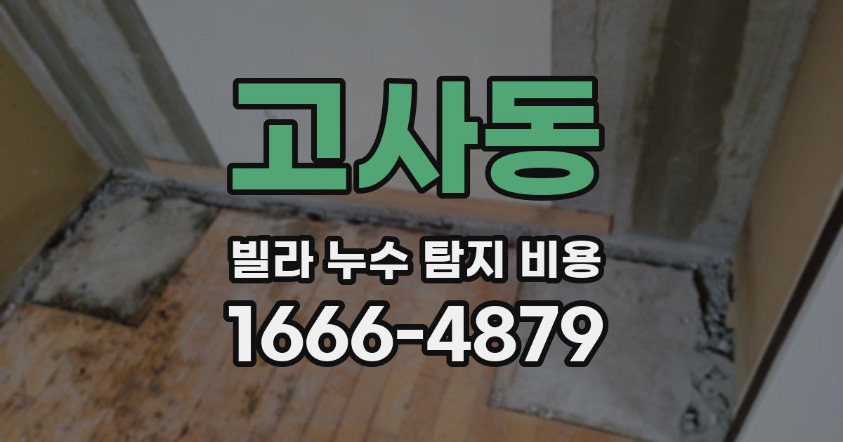 고사동 빌라 누수 탐지 비용
