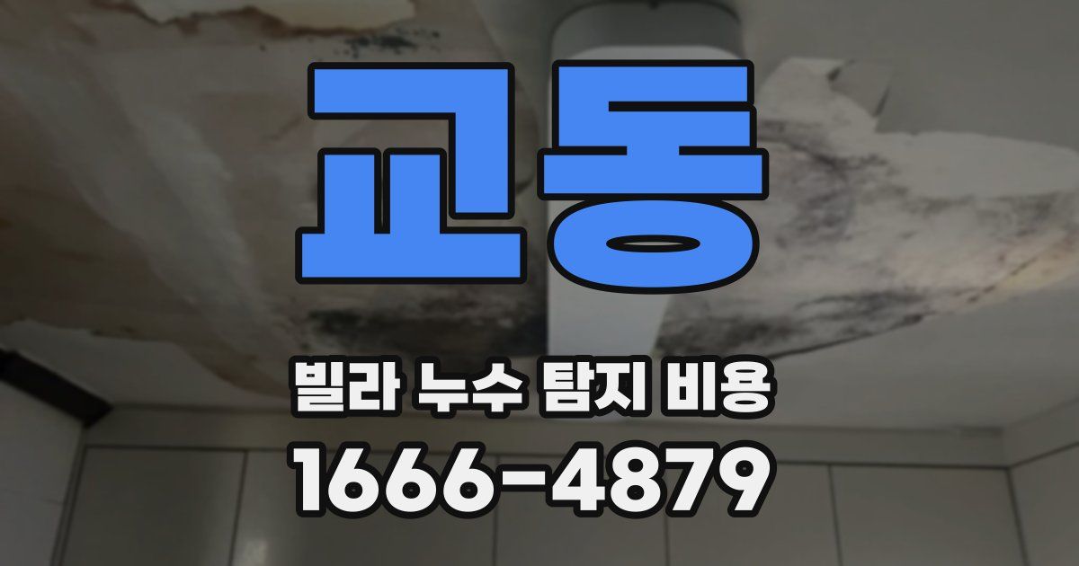 교동 빌라 누수 탐지 비용