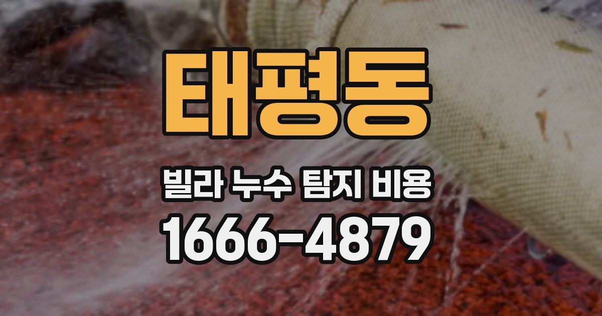 태평동 빌라 누수 탐지 비용