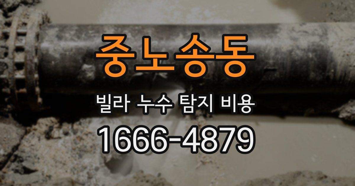 중노송동 빌라 누수 탐지 비용