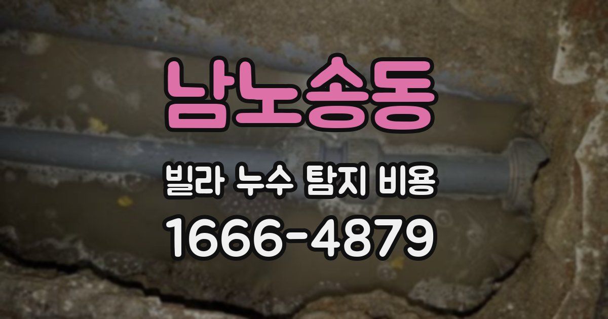 남노송동 빌라 누수 탐지 비용