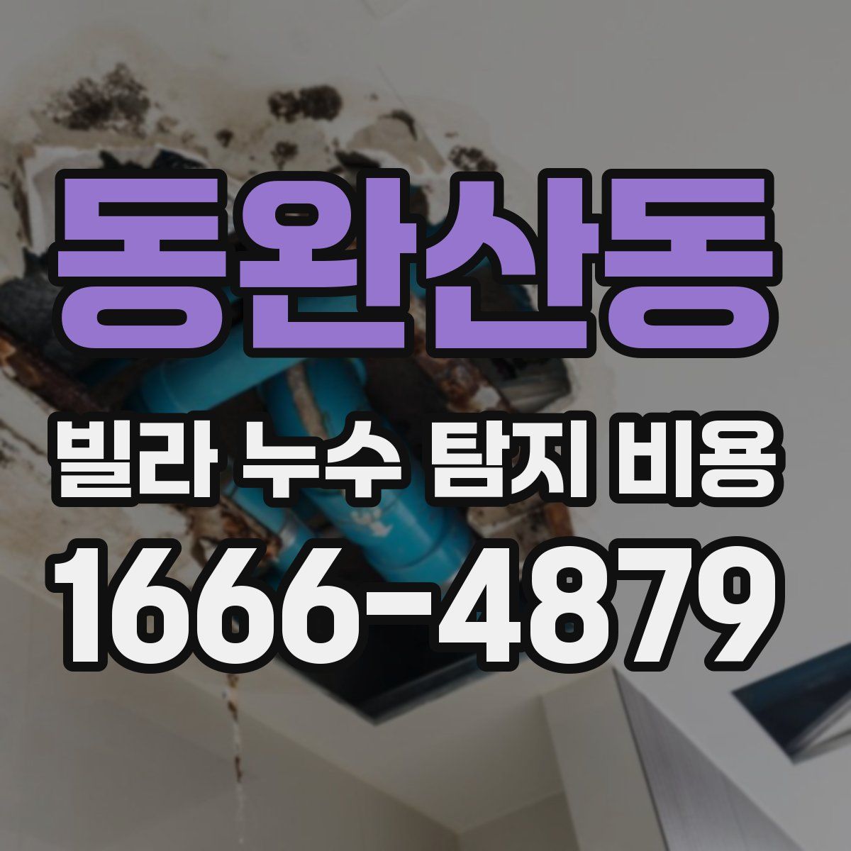동완산동 빌라 누수 탐지 비용