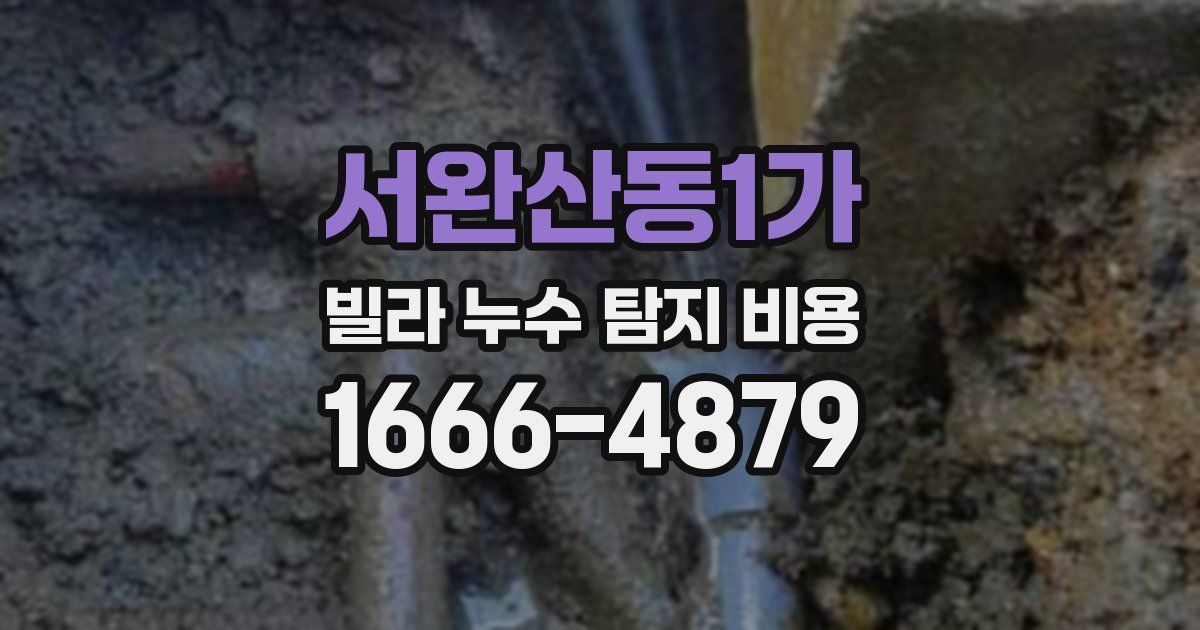 서완산동1가 빌라 누수 탐지 비용