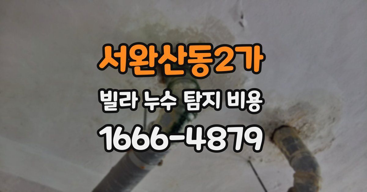 서완산동2가 빌라 누수 탐지 비용