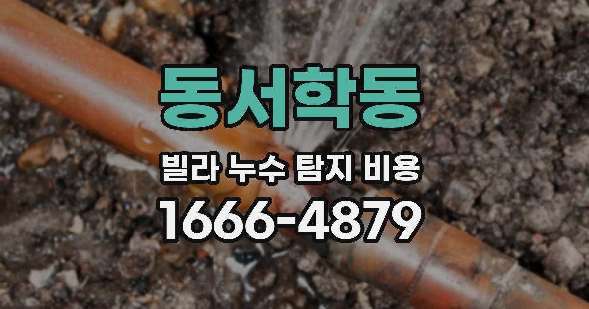 동서학동 빌라 누수 탐지 비용