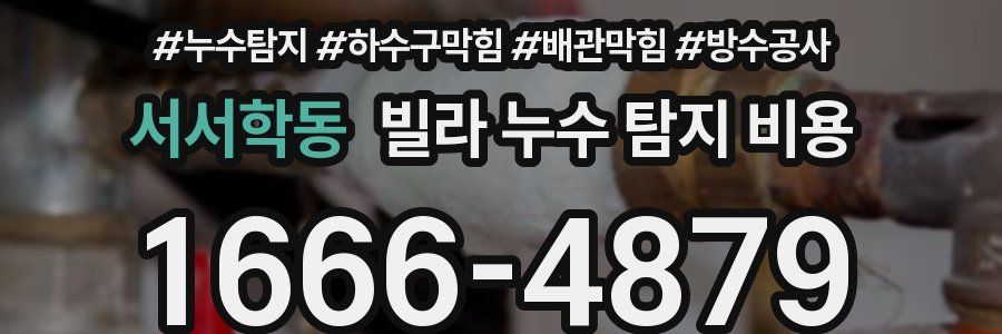 서서학동 빌라 누수 탐지 비용